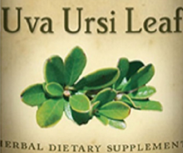 Uva Ursi Leaf | Dried Herbs