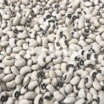 Black Eye Beans | Beans Suppliers