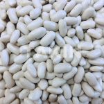 Cannelini Beans | Beans Suppliers | Fine Food Products