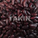 Dark Kidney | Beans Suppliers