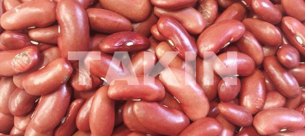 Light Kidney Beans | Beans Suppliers