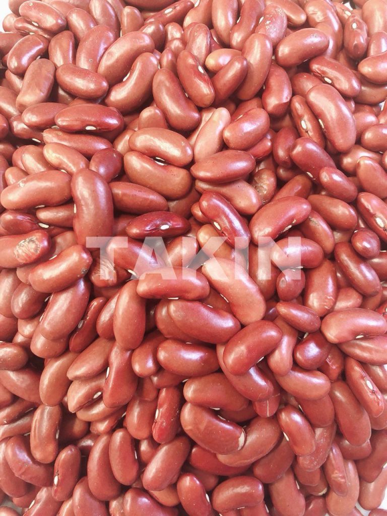 Light Kidney Beans | Beans Suppliers