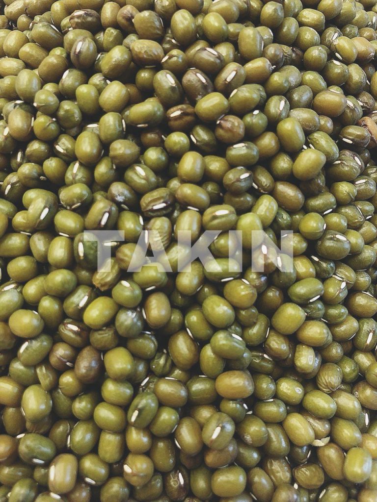 Whole Green Mung | Beans Suppliers | Fine Food Products