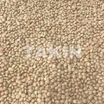 Whole Red Lentils | Beans Suppliers