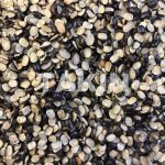 Black Urad Dal Split | Beans Suppliers